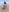 LillyLive Bikini, Beach, & Bad Intentions Pic