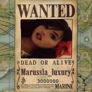 Marussia_luxuryOne piece meme图片