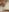 CharlotteWells My body is in a milk bath 🛁 Pic 2