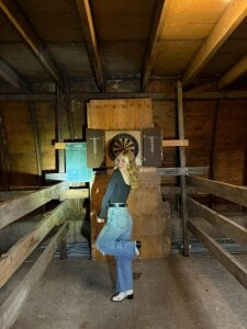 SienaLowel Public Pic