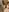 taddy_shyBaby Girl照片 4