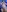 shanel_cullen_ naked,creampie,sexy pregnat Pic 2