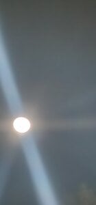 Kingkushflow: Public ( 5 фото)