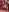 SUBMISSION_BDSM FIRE BDSM Photo 5