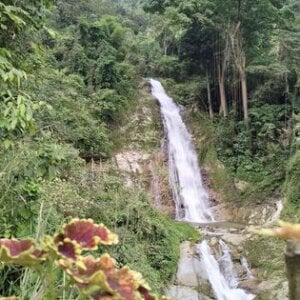 AshleyandCleo Nature Pic 8