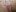 Sweettalexxia19Only my pussy照片 8