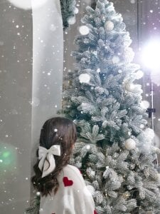 DivineAmour Christmas Lights  4. fénykép