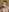 vanda26hot Black Dildo and Facial Pic 5