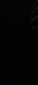 ValiantSemitic: Public ( 4 фото)