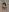 Lollipop_GirlsLengerie照片 7