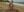 Akilla_Queen Nude AI Pic 3