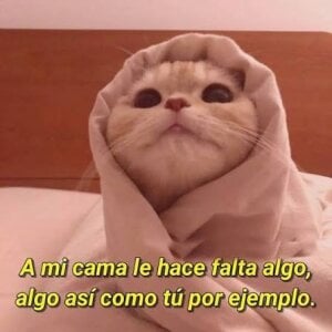 alix_jones ❤️🤩 slika 5