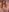 RARE 14. two fingers deep in my pussy ⭐️Horny Content Wheel⭐️ de bambi_lu Fotos 2