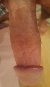 yakut34 kullanıcısının 2022 albümü -  7 fotoğraf