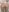 Nami_CurlsのLove my assの 4枚の写真