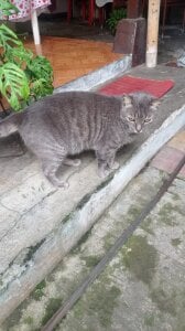 CamilaLume: Public ( 6 фото)