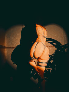 devinharmony Public Pic 4