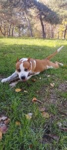 FoxyAnn12 Public Εικόνα 5