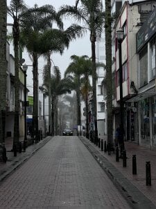 RonaldThompson__ Beautiful things Foto 9