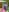 FunLatinGirls_couple bikini 사진 4
