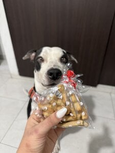 ArianavilladaのTaison Cornelio 🐾の 8枚の写真