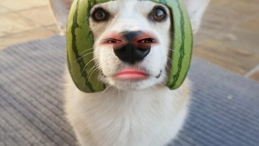 berrry_girl Collection of cute&fun photos xD  8টি ছবি