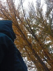 Yerayyaya Public صورة واحدة|Yerayyaya Public صورتان|Yerayyaya Public  4 صور|Yerayyaya Public  4 صورة