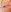 NoLimit365 Mysterious Couple fsk18 Pic 3
