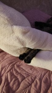 VandaRossi My favorite Splyushka😻 Splyushka will be glad of your financial support♥ 사진 3