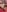 Diosa_AlexandraaSexy parts of my body.照片 2