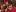 WhataGirlsx hot pictures 2023 xmas photos Pic 4