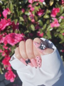 Public de rena-cham  5 Imagens