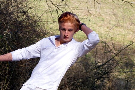 SirReed kullanıcısının Legally blonde albümü -  2 fotoğraf