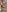 Puzdosia Nudist beach Pic 2