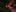 olivecum Lots of HAIRY ARMPITS PICS 사진 4