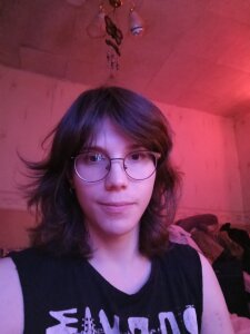 lunavoicePublic图片 5