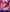 Kanela_miller_ bunny 🐇 Pic 2