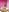 Luiza_Hammer Luiza nudes Pic 2