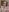 bambi_lu topless baby boobies (no clouds)😮‍💨 Pic