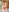 ChloeMarsch сompletely naked in the bathroom Pic 4
