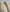 Alice_DavidsonHome nudes^^照片 9