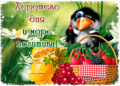 NickNovaa 🗑️ Trash bin Pic 5