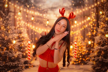 Laskhmi_ Christmas 2025 🎀 Pic 2