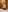 Liannaa_ My curves whisper Pic