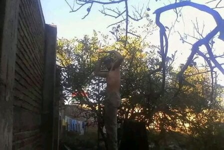 Guanatos13 Public Pic 6