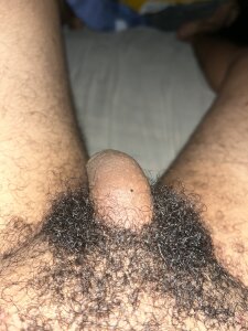 El_ColeroPublic图片 2