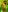 EllaViceX Your naked Eva Photo