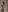 LavenderHot Magic 🪄🥰 Pic 9