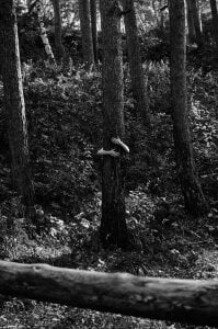 Lily_Young Black n’ white fotoset Pic 3