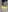 liselorexx Unlock for my phonenumber Pic
